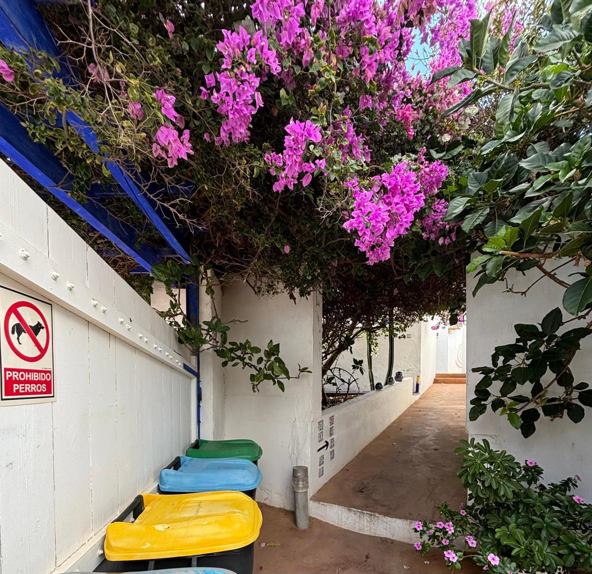 Apartamentos Y Habitaciones Villa Marina La Caleta  Exterior photo