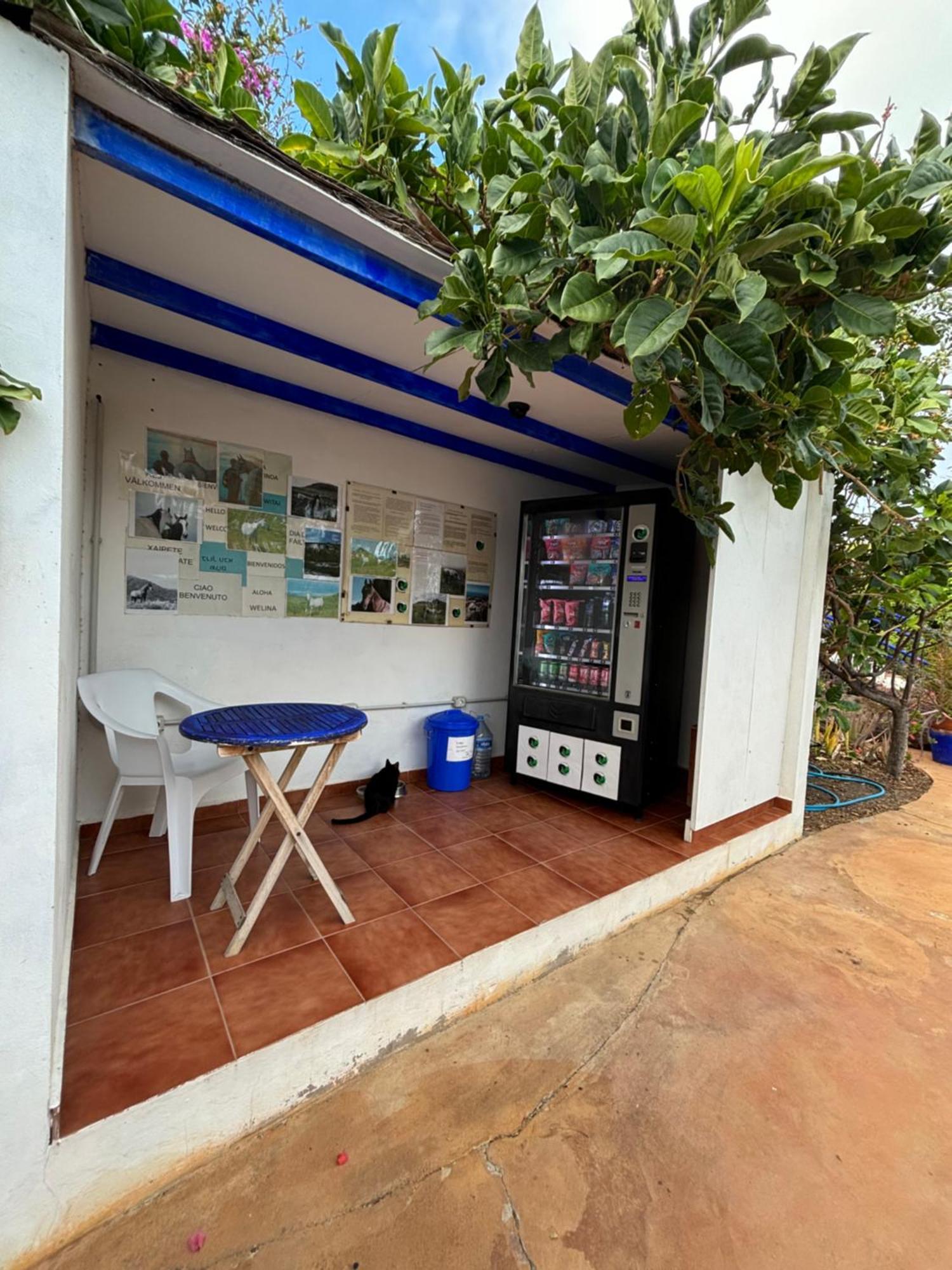 Apartamentos Y Habitaciones Villa Marina La Caleta  Exterior photo